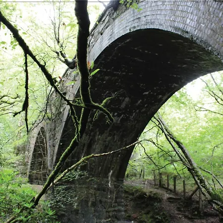 Afon Rhaiadr Country House-3